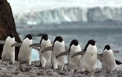 S.....r - MIEJSCE DNIA: Antarktyda cz4

#miejsca #antarktyda #zdjecia #fotografia #pi...
