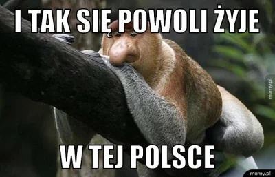 e.....t - #polak #taksiezyje ( ͡° ͜ʖ ͡°)