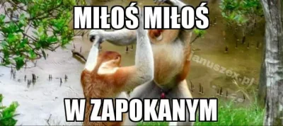 maxx92 - #heheszki #humorobrazkowy #polak