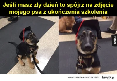 B.....z - wybaczcie źródło ale nie mogłem się powstrzymać :D
#smiesznypiesek ##!$%@?