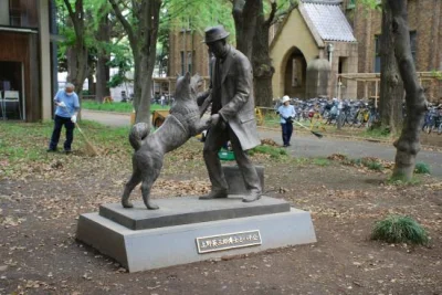 januszzczarnolasu - Pomnik pierwowzoru - japońskiego psa Hachiko i jego pana