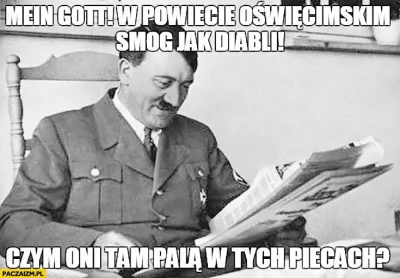 radeck - #ocieplaniewizerunkuadolfahitlera #heheszki #czarnyhumor #smog #zanieczyszcz...