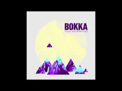 c.....k - BOKKA - Violet Mountain Tops

#muzyka #muzykaelektroniczna #bokka