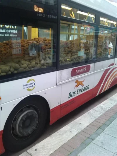 Mesk - W Irlandii ziemniaki jeżdżą autobusem, a polaki cebulaki lecą z buta.

#cebula...