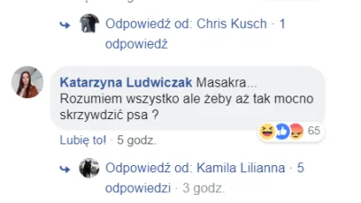 rubikoon - @panzerfucker: gdzie tam cały czas jadą xddd