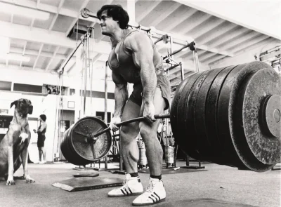 MackONE_ - Jedno z moich ulubionych zdjęć.

Franco Columbu 2x Mr.Olympia, 2x Mr. Wo...