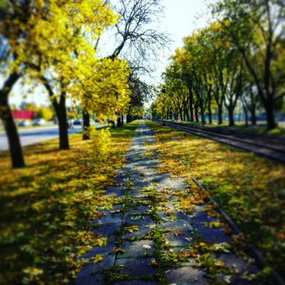 JakNicOko - @adam-boczula albo takie :)