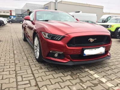 ziemniak3000 - Dzisiaj pracę zacząłem od takiego miłego akcentu :)
#mustang #ford #mu...