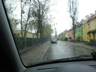 Norskee - Zalecam parasol
#poznan #padadeszcz