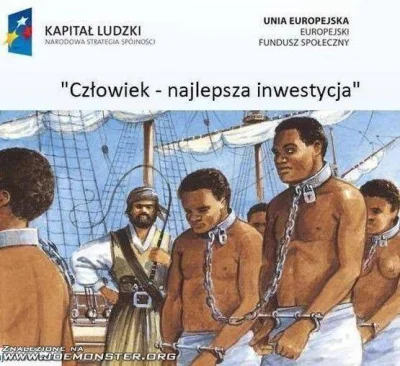 Jariii - > głosowanie na Korwina wymaga bardzo dużo wysiłku intelektualnego

LINK -...