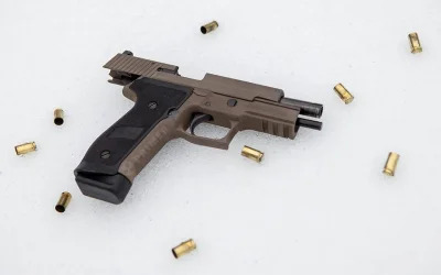 Rogue - #gunboners #bron #projektdedal

Sig Sauer P226 kal. 9 Para, wykończenie typu ...