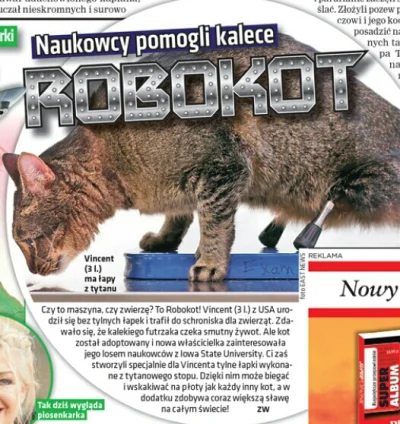 lotarg - #heheszki
#koty
#robokot
( ͡° ͜ʖ ͡°)