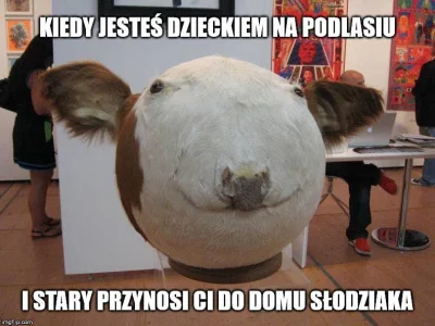 Citizen_37 - #podlasie #humorobrazkowy #heheszki