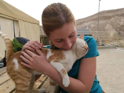 w.....l - Ktoś tu kotków nie lubi?

#Izrael #kochamkoty #kochamzwierzaki #zwierzeta...