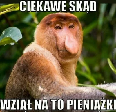 vegetassj1 - Jeden Mirek się chwali,że chodzi na #roksa.
Dziwne,że nikt się nie spyta...