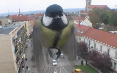 hudsone - Nietpowe zdjęcie z osiedlowego "webcamu".

#ciekawostki #heheszki #humor #h...