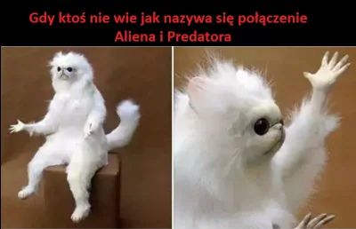 Uriel0987 - @WuDwaKa Z połączenia Aliena i Predatora powstaje Predalien. Jak można te...