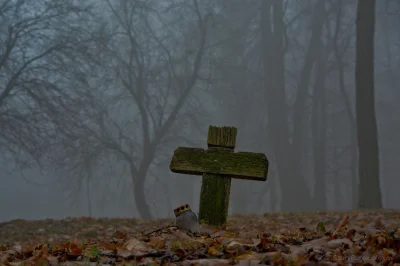 nightmeen - Krzyż na cmentarzu w Modlinie.
@mysteriousnotme Podobne do Twojego foto ...