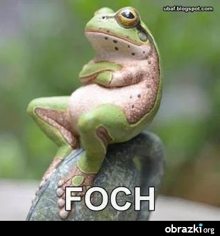 banan11 - @porannewyciepsa: prawdziwy foch żaby jest tylko jeden...