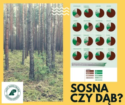 Lifelike - #polska #przyroda #dendrologia #las #drzewa #graphsandmaps