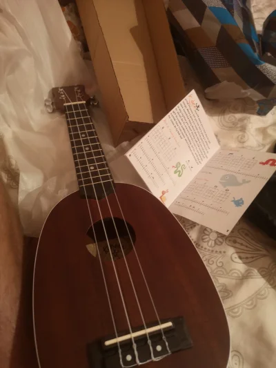 masieg - Moją babe #!$%@?ło XD
Mam dziś urodziny i kupiła mi ukulele XDDDDDDDDD
Bo za...