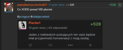 Lapidarny - Co XDDD ponad 500 plusów 

#przegryw #stulejacontent #pdk