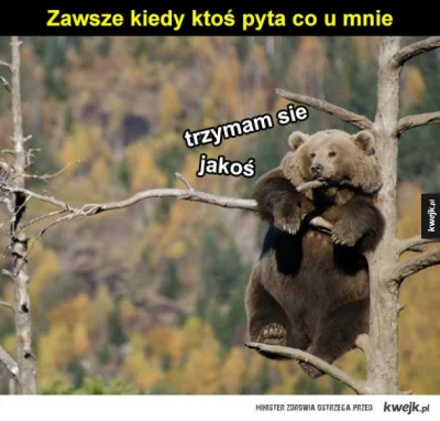 JezelyPanPozwoly - No miraski, jak tam po kampanii wrześniowej? ( ͡° ͜ʖ ͡°) #studbaza...