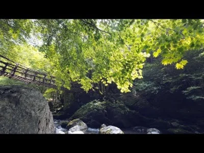 A.....e - [ #japonia #podroze #przyroda #natura #earthporn #ultrahd #4k #hd ]

Dźwięk...