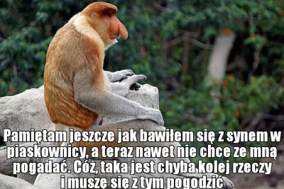 Heexi - (╯︵╰,) #nosaczfeeldajski #polak #feels