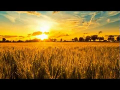 xandra - Sting: Fields of gold (｡◕‿‿◕｡)

#muzyka #sting