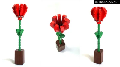 Kalais - Dzisiaj taka drobna rzecz. Kwiatek z #LEGO, który zbudowałem dla mojej połów...