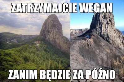 Cesarz_Polski - #heheszki #humorobrazkowy #weganizm #weganie