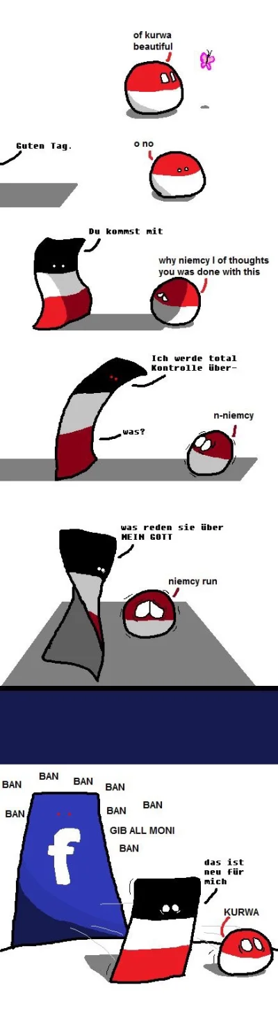 s.....w - #polandball #humorobrazkowy #heheszki #facebook #niemcy