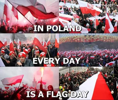 R.....e - (｡◕‿‿◕｡)
#polska #dzienflagi #patriotyzm #4konserwy