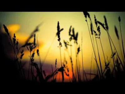 Saszimi - Smote - Summertime



#muzyka #dnb #dnbnoca