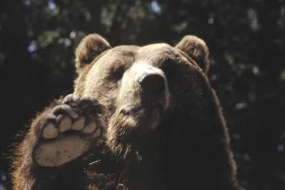 Felonious_Gru - @kukasia: