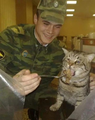 b.....8 - Kotek je XD
#pokazkota #koty #wojsko