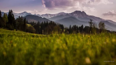 mitofoto - Potrzebuje ktoś nowej tapety? #tatry #tapeta #polska