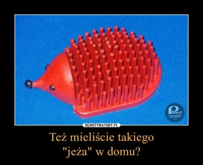 jebbejsalta - Kto miał zostawia plusa, kto nie wie co to scrolluje dalej. (⌐ ͡■ ͜ʖ ͡■...