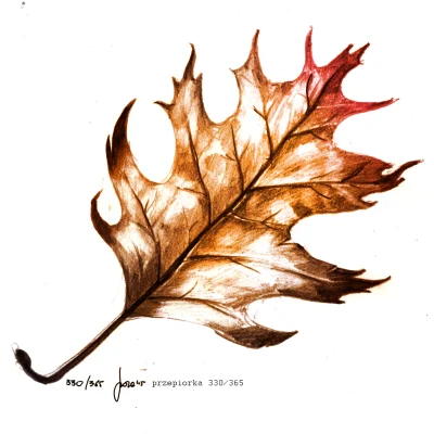 przepiorka - 330/365 Jesienny liść

#365listopad 
#przepiorkarysuje
#rysujzwykope...