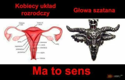 Nudiustertian - #rozowepaski #heheszki #humorobrazkowy #humor #niewiemczybyloaledobre