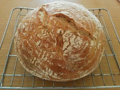 kmicic77 - Dzisiejszy chleb. Pszenny z odrobiną żytniej mąki razowej. #chleb #chlebdo...