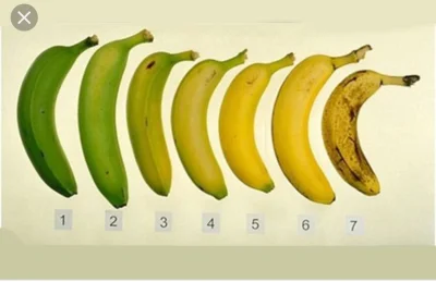 loopedoom - Który banan ma najlepszy smak? Jak dla mnie 3-4 (ʘ‿ʘ)