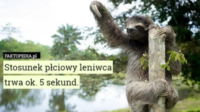 goferek - Mamy z leniwcami więcej wspólnego, niż nam się wydaje
SPOILER
#heheszki