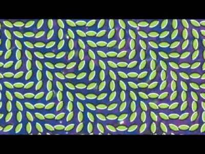 T.....i - #muzyka #animalcollective #00s 
Animal Collective - Summertime Clothes