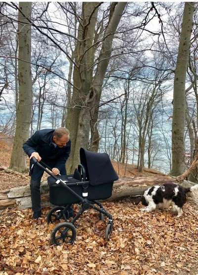 grim_fandango - Patrzcie Donek z wózkiem i psem w lesie, ale się nie nabrałem. Wszyst...