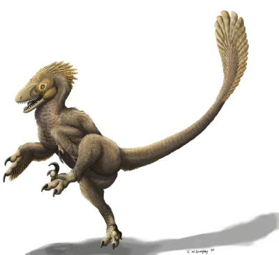 CrazyDino - Balaur bondoc - interesujący dromeozauryd ("raptor") lub ptak (systematyk...