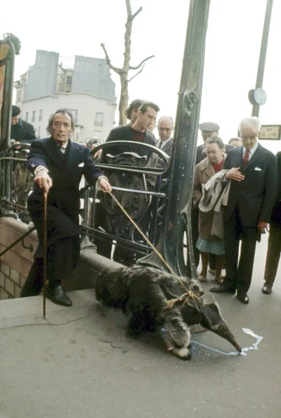 stiven777 - Rzadkie zdjęcie Salvadora Dalego wychodzącego z metra w Paryżu ze swym mr...