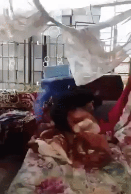 geekmaster - #smiesznypiesek #heheszki #zwierzaczki