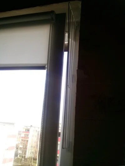 sscav - @nint: co do zabezpieczenia okien na zoo plusie mają takie kratki do okien uc...